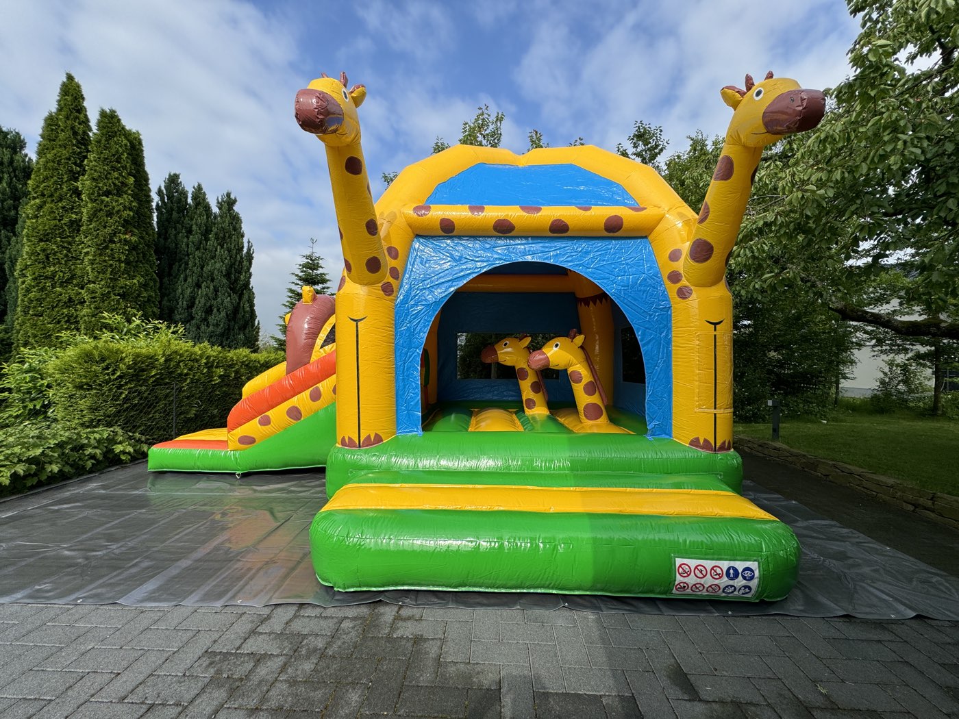 Hüpfburg Multifun Giraffe – Foto 4